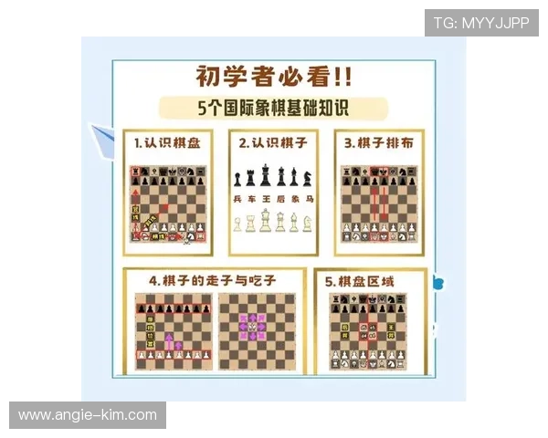 k8凯发体育娱乐：平台操作指南与新手入门技巧帮助您快速上手体育娱乐